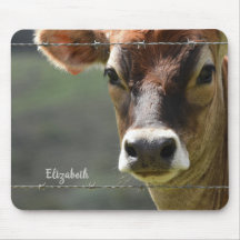 Fotografia da Vaca do Monograma Jersey