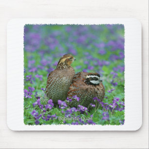 Mousepad Fotografia das codornizes