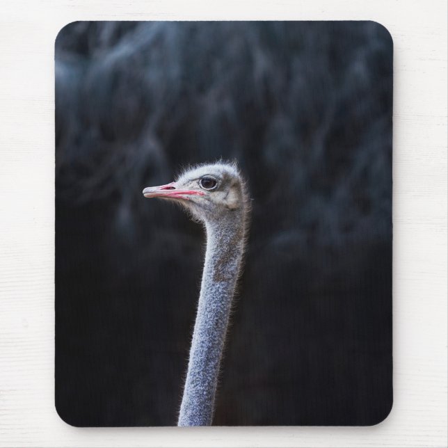 Mousepad Fotografia de Avestruz (Frente)