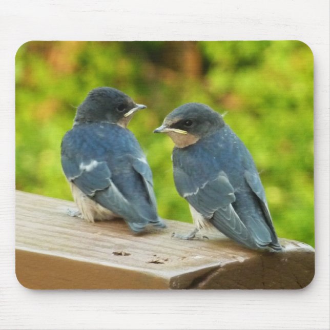 Mousepad Fotografia de Bebês de Andorinha-das-Instalações n (Frente)