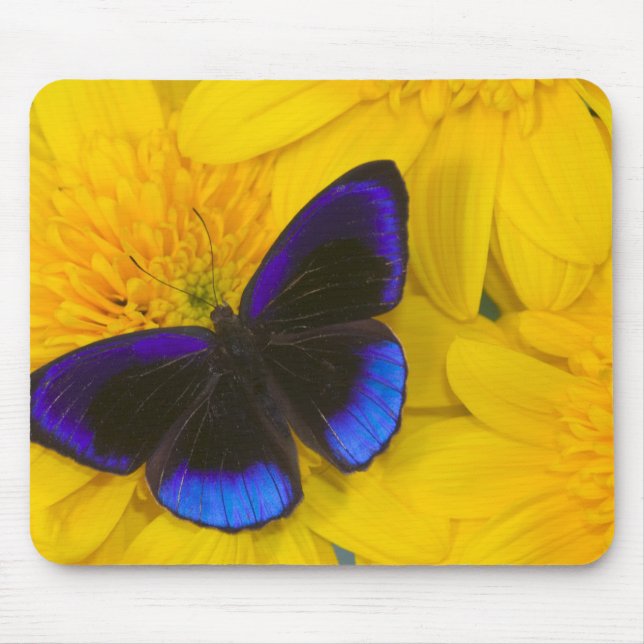Mousepad Fotografia de Borboleta (Frente)