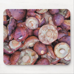 Mousepad Fotografia de Cogumelos Marrons Selvagens