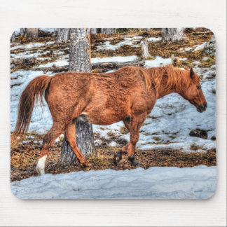 Mousepad Fotografia de Equídeos Red Dun Ranch Horse