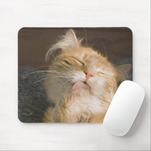 Mousepad Fotografia de Fechamento do Gato de Maine Vermelha