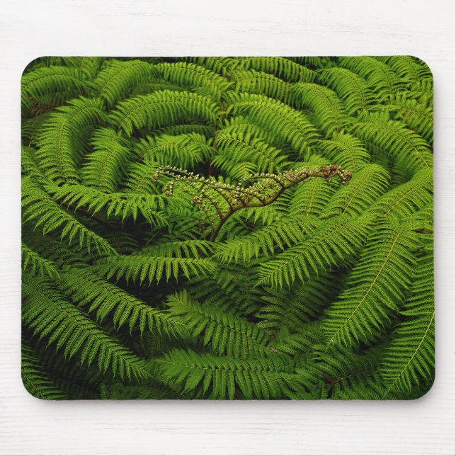 Mousepad Fotografia de Fern Fine Art (Frente)