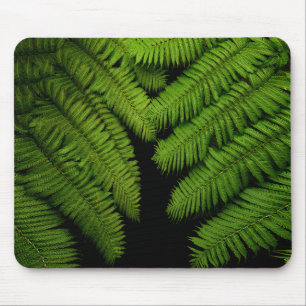 Mousepad Fotografia de Fern Fine Art
