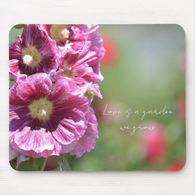 Mousepad Fotografia de lindas flores cor-de-rosa de malvaís (Frente)