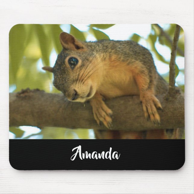 Mousepad Fotografia de Natureza de Esquilo Curiosa (Frente)