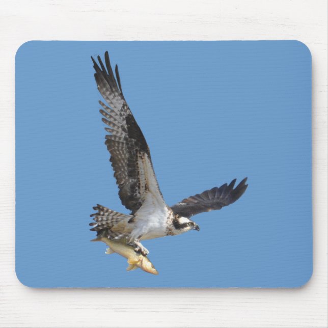 Mousepad Fotografia de Osprey Voadora e Fish Willife (Frente)