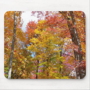 Mousepad Fotografia de Outono de Árvores Laranja e Amarela