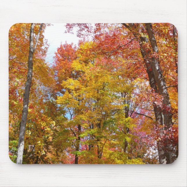 Mousepad Fotografia de Outono de Árvores Laranja e Amarelas (Frente)