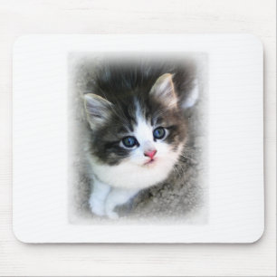 Mousepad Fotografia de retrato de Kitten SUPER CUTE