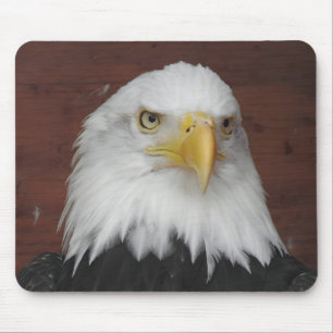 Mousepad Fotografia de uma águia que peguei em Dubuque, Iow