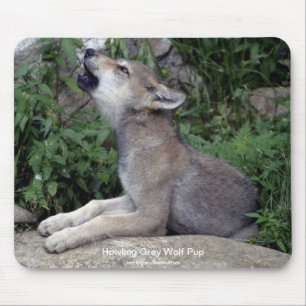 Mousepad Fotografia do animal do Animal-suporte do lobo