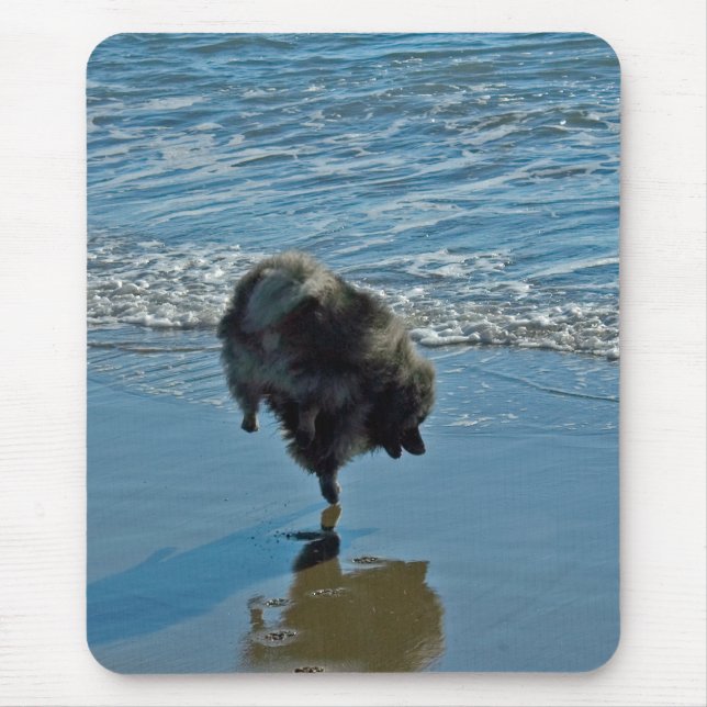 Mousepad Fotografia do Balé Keeshond - Arte de Cachorro Ori (Frente)