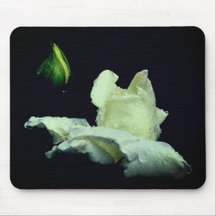 Mousepad Fotografia do Flor Branco Rosebud 