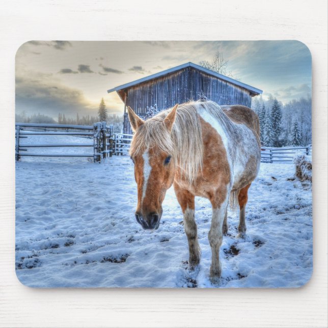 Mousepad Fotografia do Palomino Paint Horse and Barn Equine (Frente)