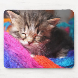 Mousepad Fotografia do recém-nascido Kitten com Sono Suave