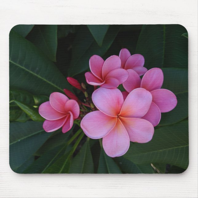 Mousepad Fotografia Floral (Frente)