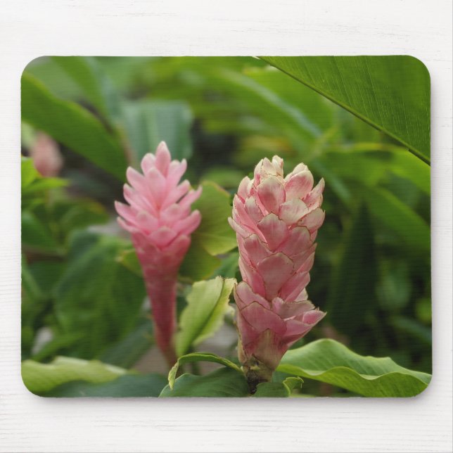 Mousepad Fotografia Floral (Frente)