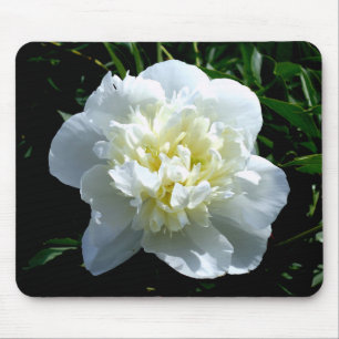 Mousepad Fotografia floral branca de pénia branca Elegante