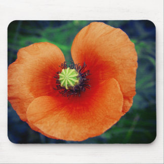 Mousepad Fotografia Macro Selvagem