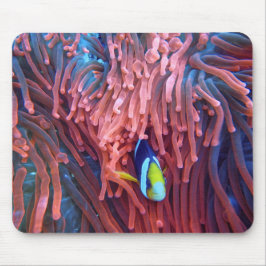 Mousepad Fotografia náutica marinha aquática