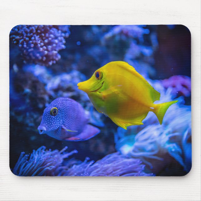 Mousepad Fotografia náutica marinha aquática (Frente)