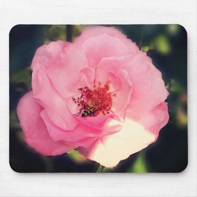 Mousepad Fotografia Rosa com Adorável Flor (Frente)