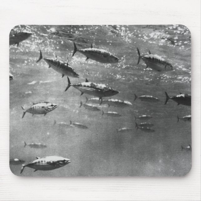 Mousepad Fotografia subaquática preto e branco dos atuns (Frente)