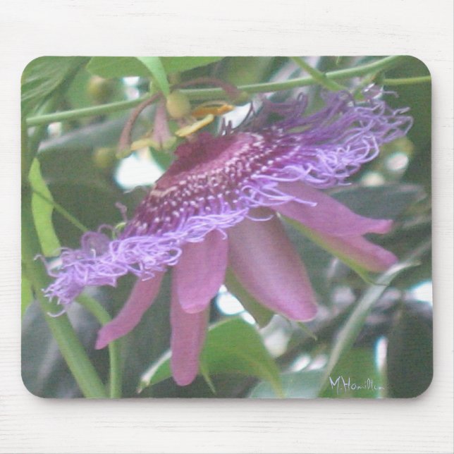 Mousepad Fotográfico de Flor de Paixão Roxo (Frente)