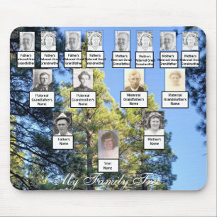 Mousepad Fotos da Árvore da Família Pine Trees de Quatro