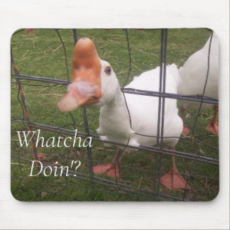 Mousepad Fotos De Animais Engraçadas Pad De Rato