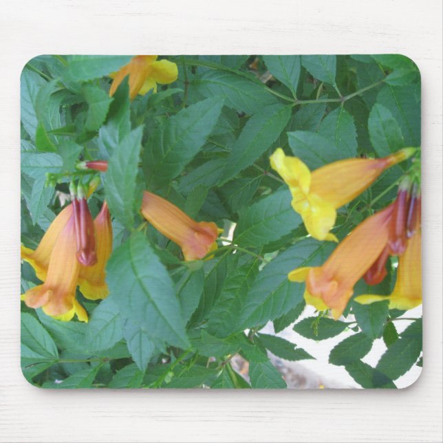 Mousepad Fotos de Flores (Frente)