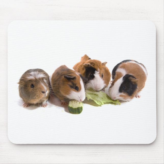 Mousepad four guinea pigs who eat, (Frente)