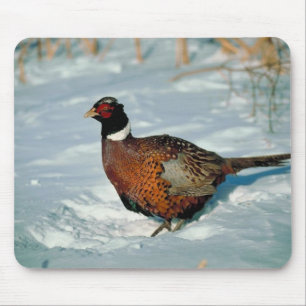 Mousepad Fowl de inverno