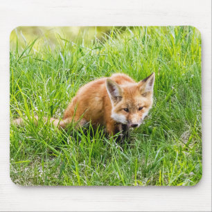 Mousepad Fox Cub