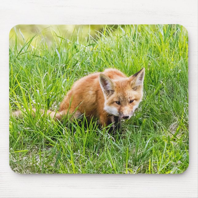 Mousepad Fox Cub (Frente)