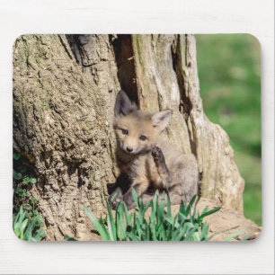 Mousepad Fox Kit no Vale do Hudson