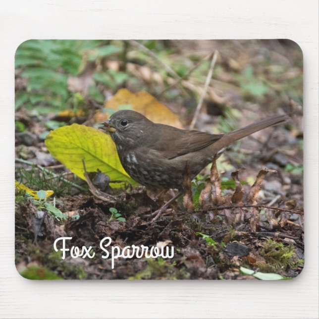 Mousepad Fox Sparrow (Frente)