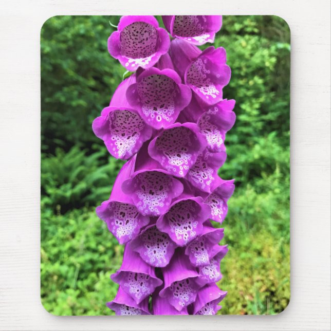 Mousepad Foxglove Flowers, Oregon (Frente)