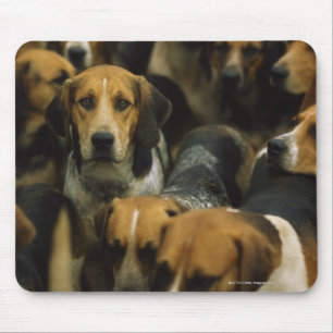 Mousepad Foxhounds da caça, blazeres de Galway, Ireland
