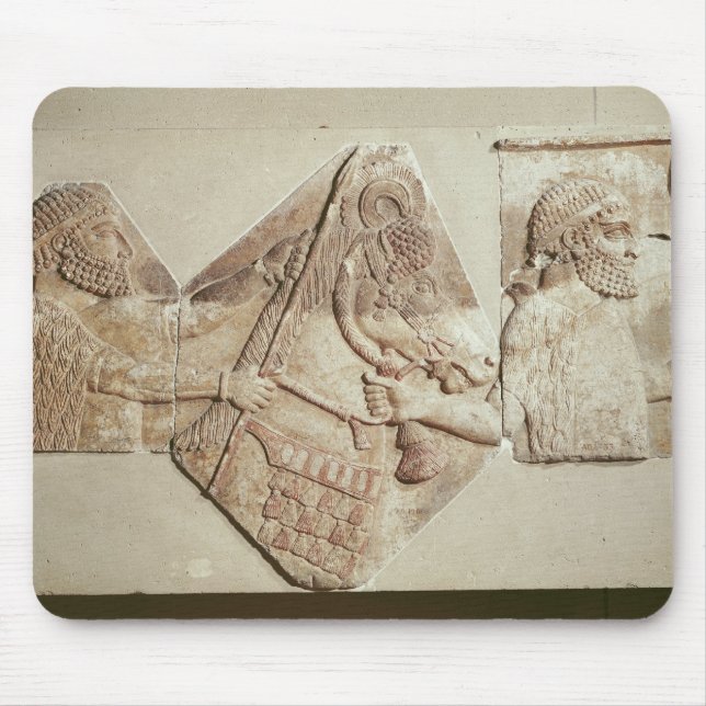 Mousepad Fragmento do tributários medianos de descrição (Frente)