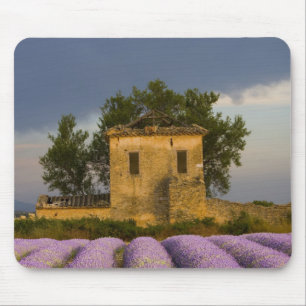 Mousepad França, Provença. Campo de lavanda e