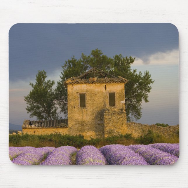 Mousepad França, Provença. Campo de lavanda e (Frente)