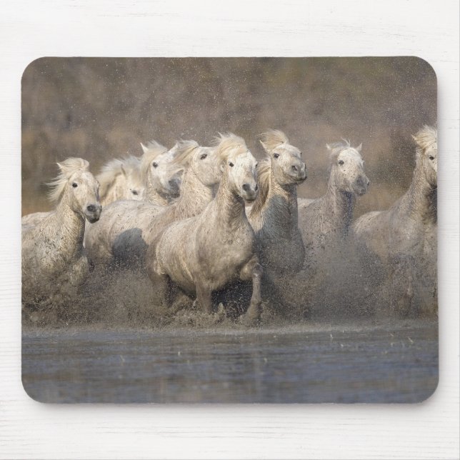 Mousepad França, Provença. Cavalos brancos Camargue corrend (Frente)