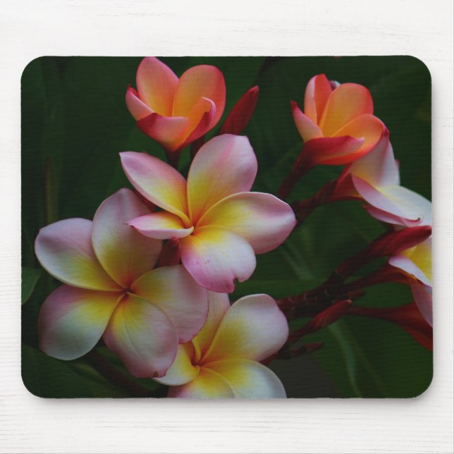 Mousepad Frangipani (Frente)