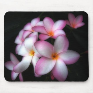 Mousepad Frangipani na flor