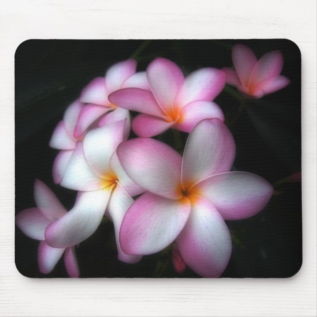 Mousepad Frangipani na flor (Frente)