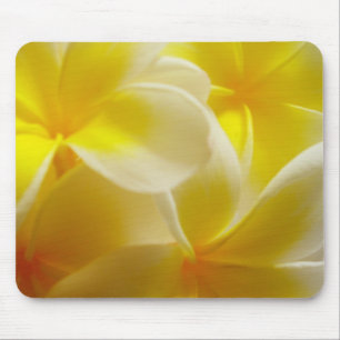Mousepad Frangipanis
